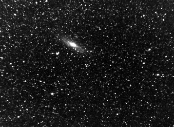  M31