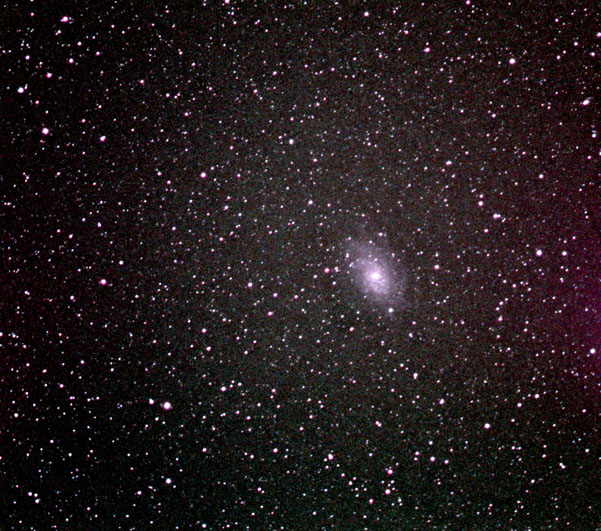  M33