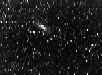  M31